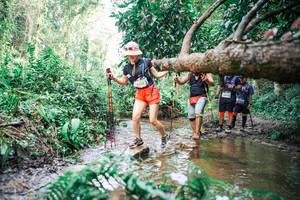 BIB: 
                            <button type="button" onclick="openModal(25517916)" class="btn btn-primary btn-sm float-right btn-popup" data-toggle="modal" data-target=".modal-high-quality">
                        <i class="fas fa-shopping-cart"></i> Add to Cart
                    </button>
                                            <button type="button" onclick="isThisMe(25517916, true)" class="btn btn-success btn-sm float-right btn-popup btn-isme hidden" data-toggle="tooltip" data-placement="bottom" title="นี่คือรูปของคุณใช่ไหม คลิกที่นี่เพื่อเอาเข้าอัลบั้ม">
                        <i class="fas fa-plus"></i> Add to album
                    </button>
                    <button type="button" onclick="isThisMe(25517916, false)" class="btn btn-warning btn-sm float-right btn-popup btn-isnotme hidden">
                        <i class="fas fa-ban"></i> Remove from album
                    </button>